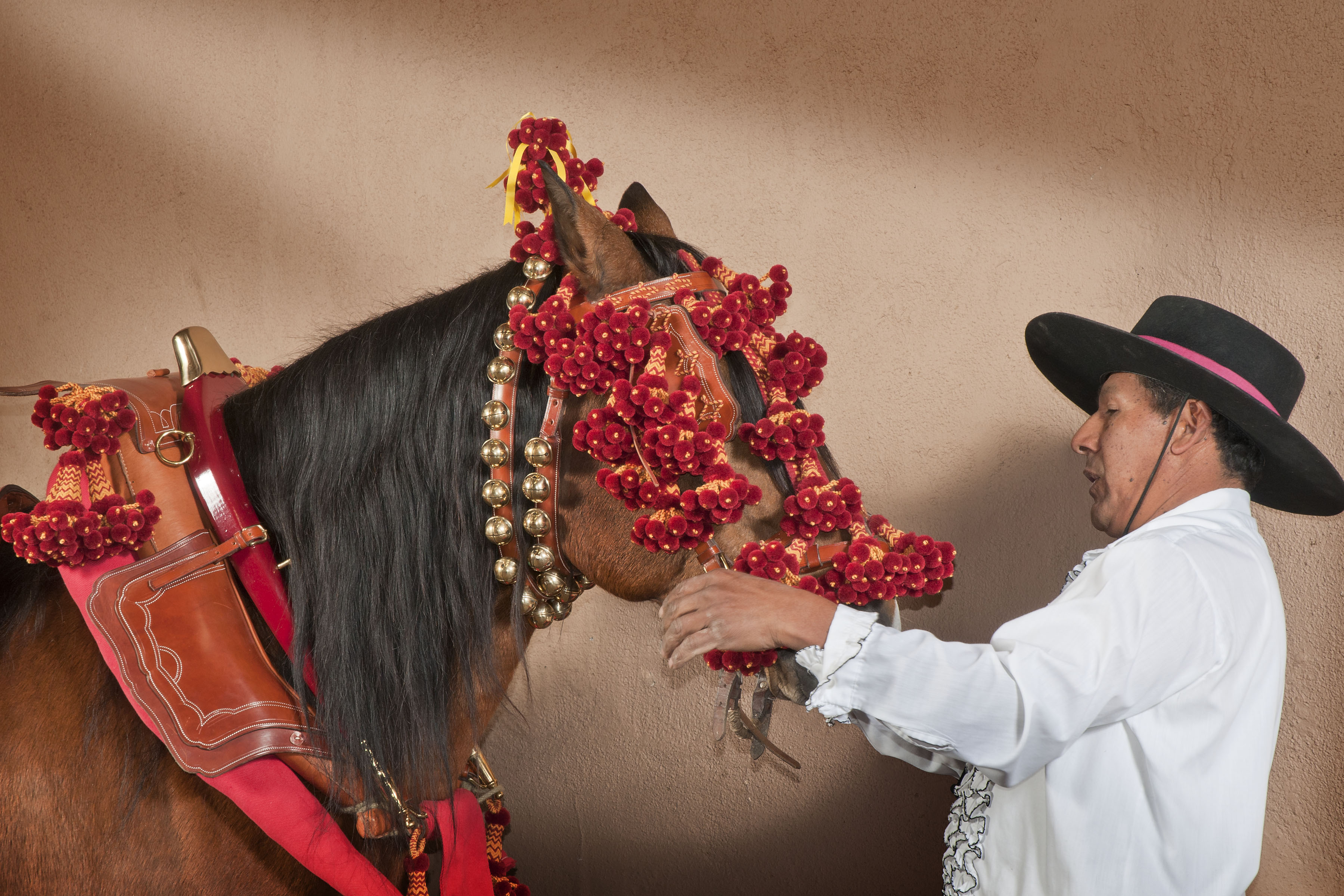 man dressing a horse in red bells and flowers