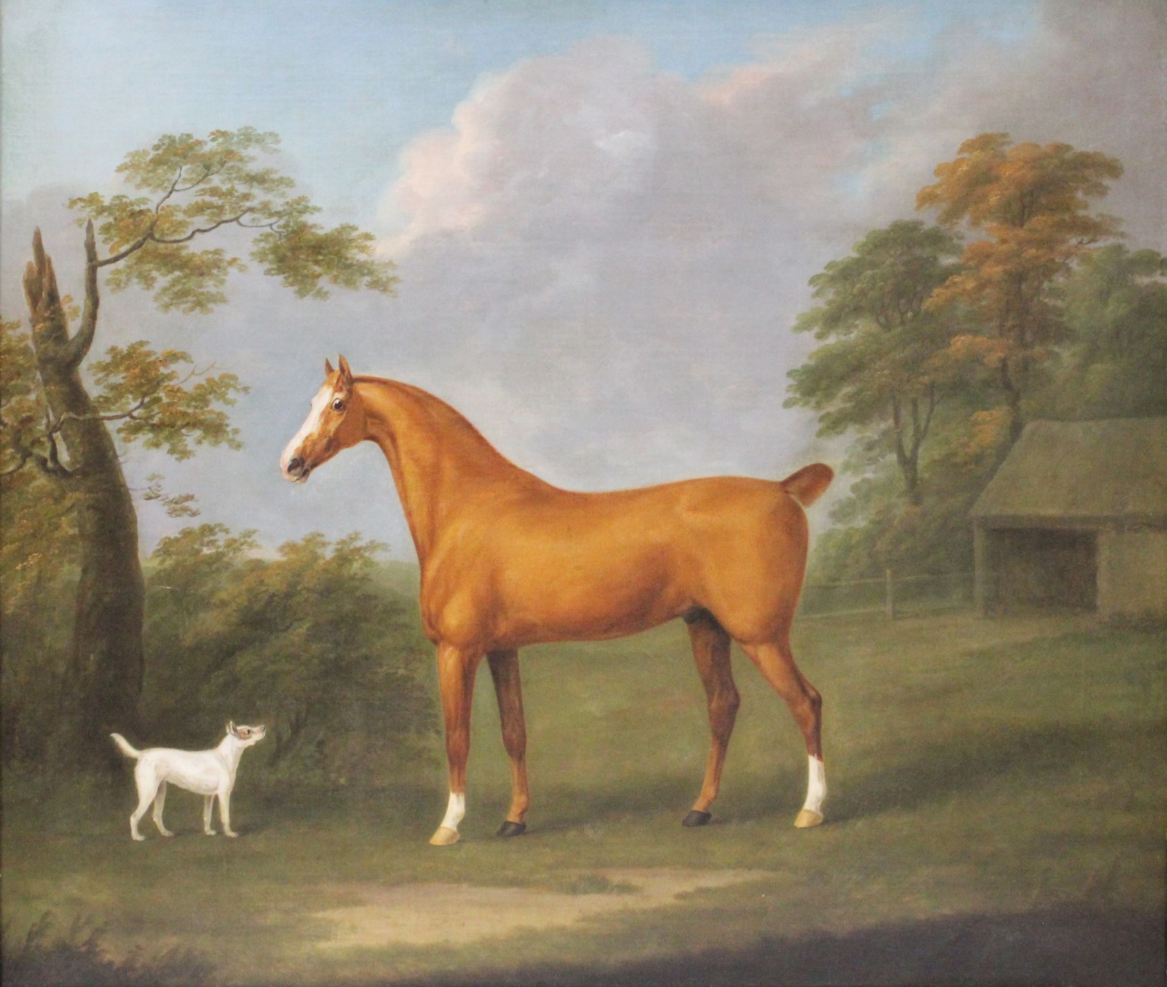 Highlights from the Equine Collection