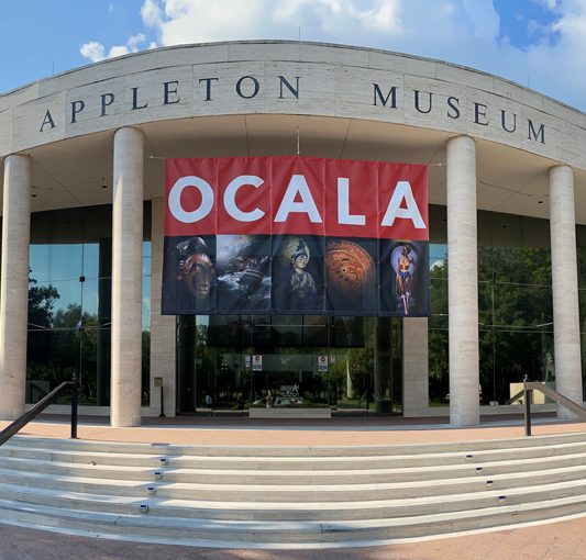 Ways to Give Appleton Museum of Art / College of Central Florida
