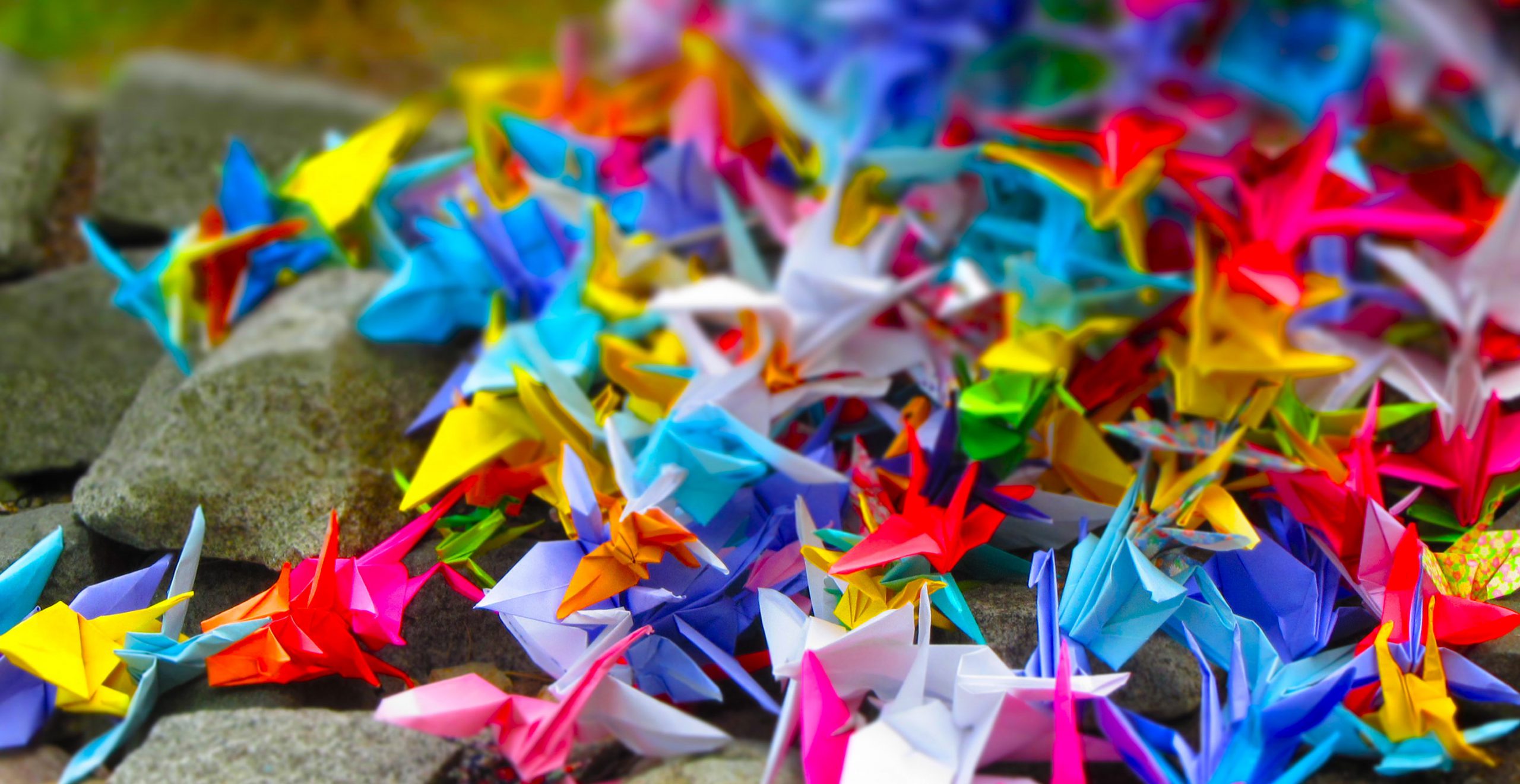 Paper Art Projects Appleton Museum of Art / College of Central Florida