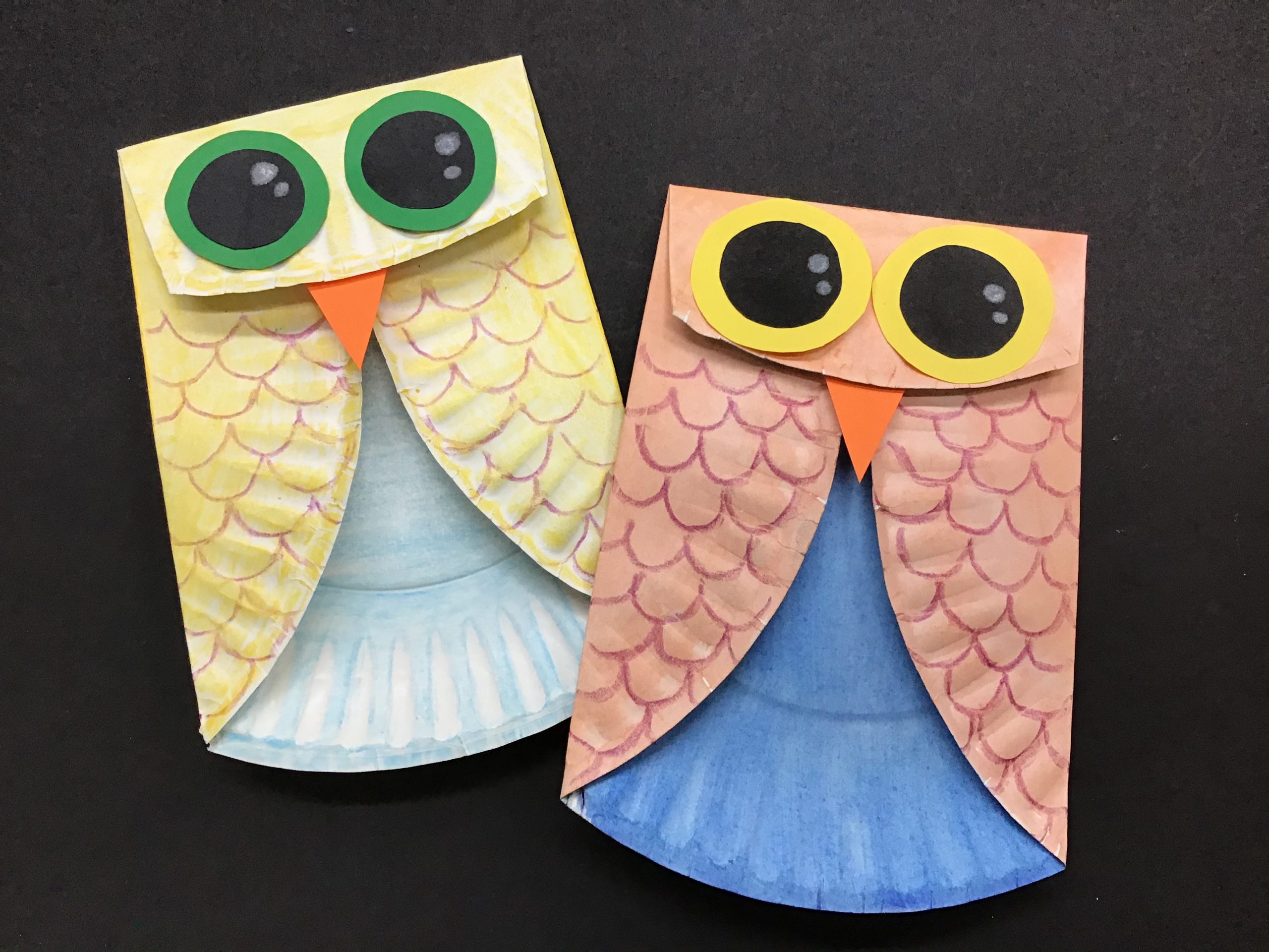 Animal Art Projects Appleton Museum of Art / College of Central Florida