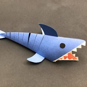 Click here for the Paper Shark project video.