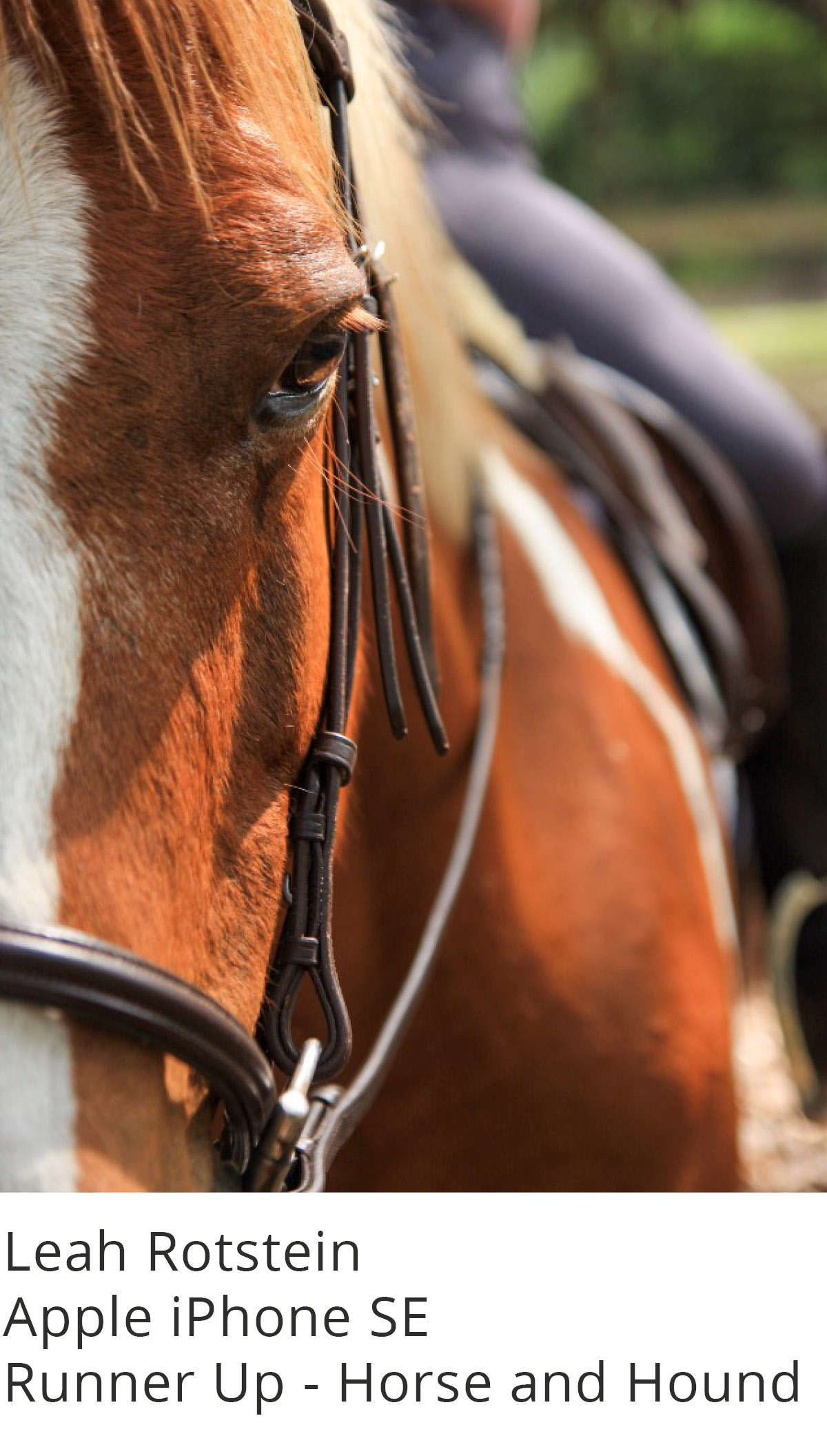 Mobile Photography Contest & Exhibition Appleton Museum of Art