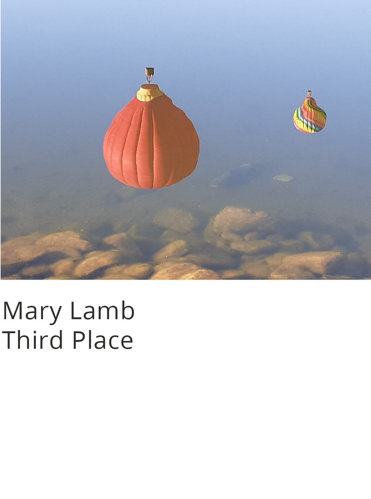 Mobile Photography Contest & Exhibition - 2022 Winners | Appleton ...