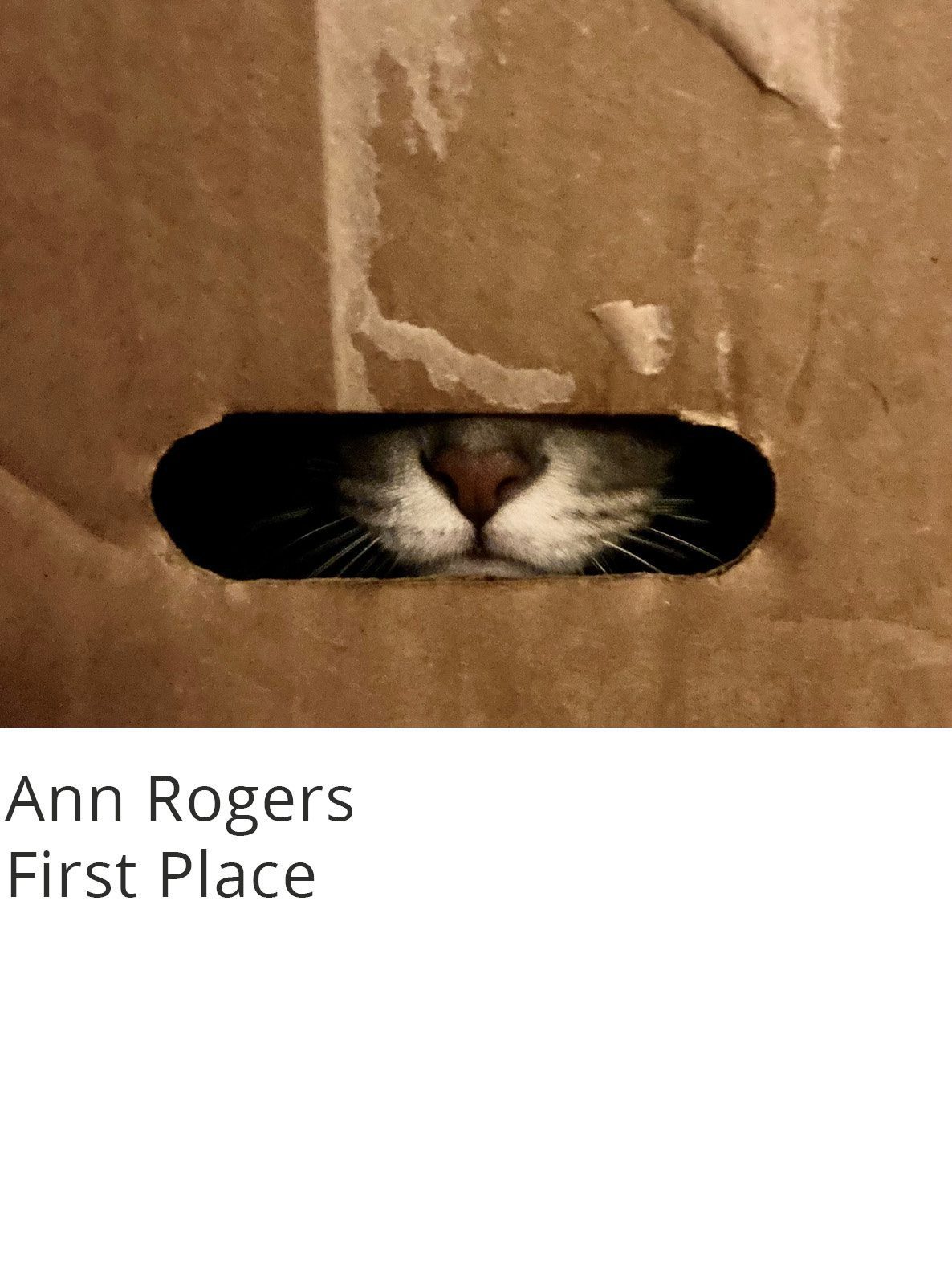 Mobile Photography Contest & Exhibition - 2022 Winners | Appleton ...