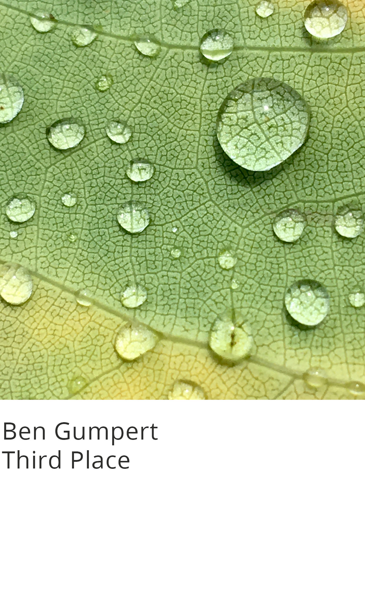 Mobile Photography Contest & Exhibition - 2022 Winners | Appleton ...