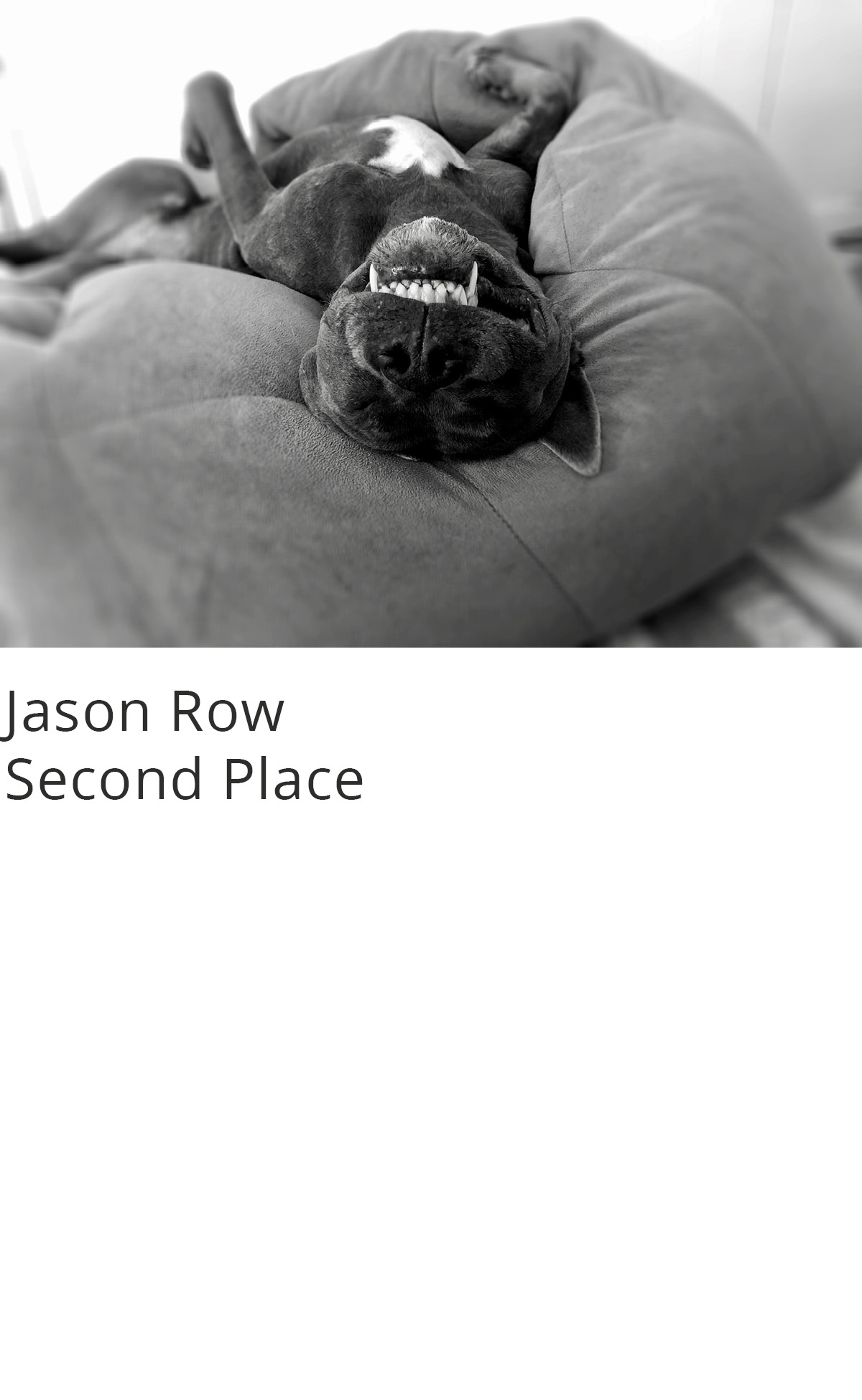 Mobile Photography Contest & Exhibition - 2022 Winners | Appleton ...