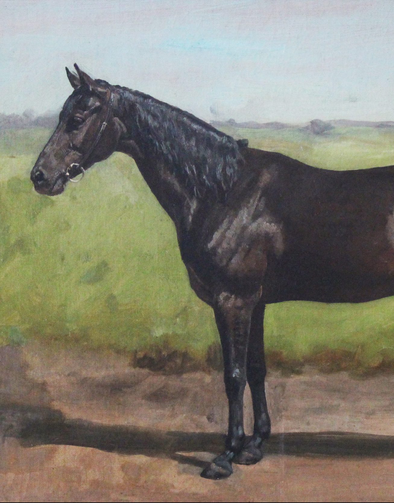 a painting of a black horse against a background of green grass