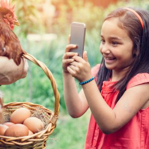 a photo of a small child using a photo to take a photo of a chicken