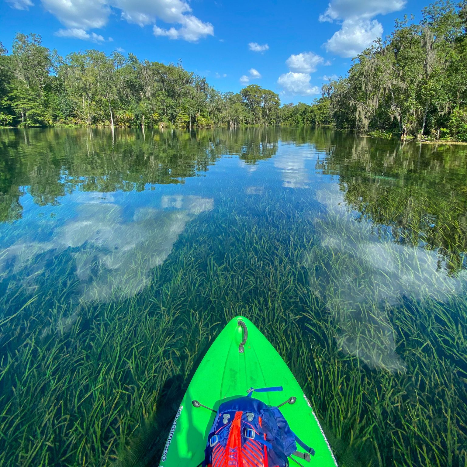 2023 Mobile Photography Contest & Exhibition | Appleton Museum of Art ...