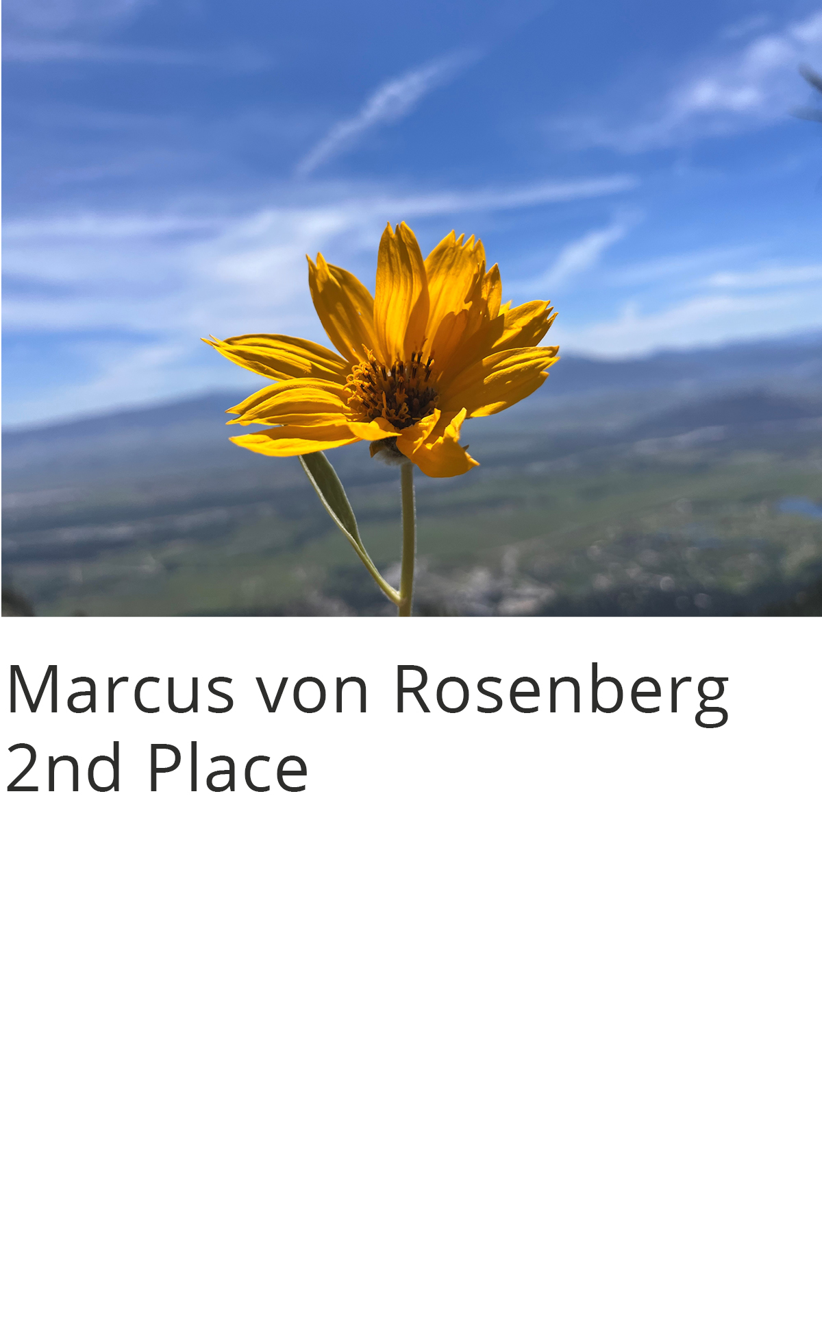 Mobile Photography Contest & Exhibition - 2023 Winners | Appleton ...