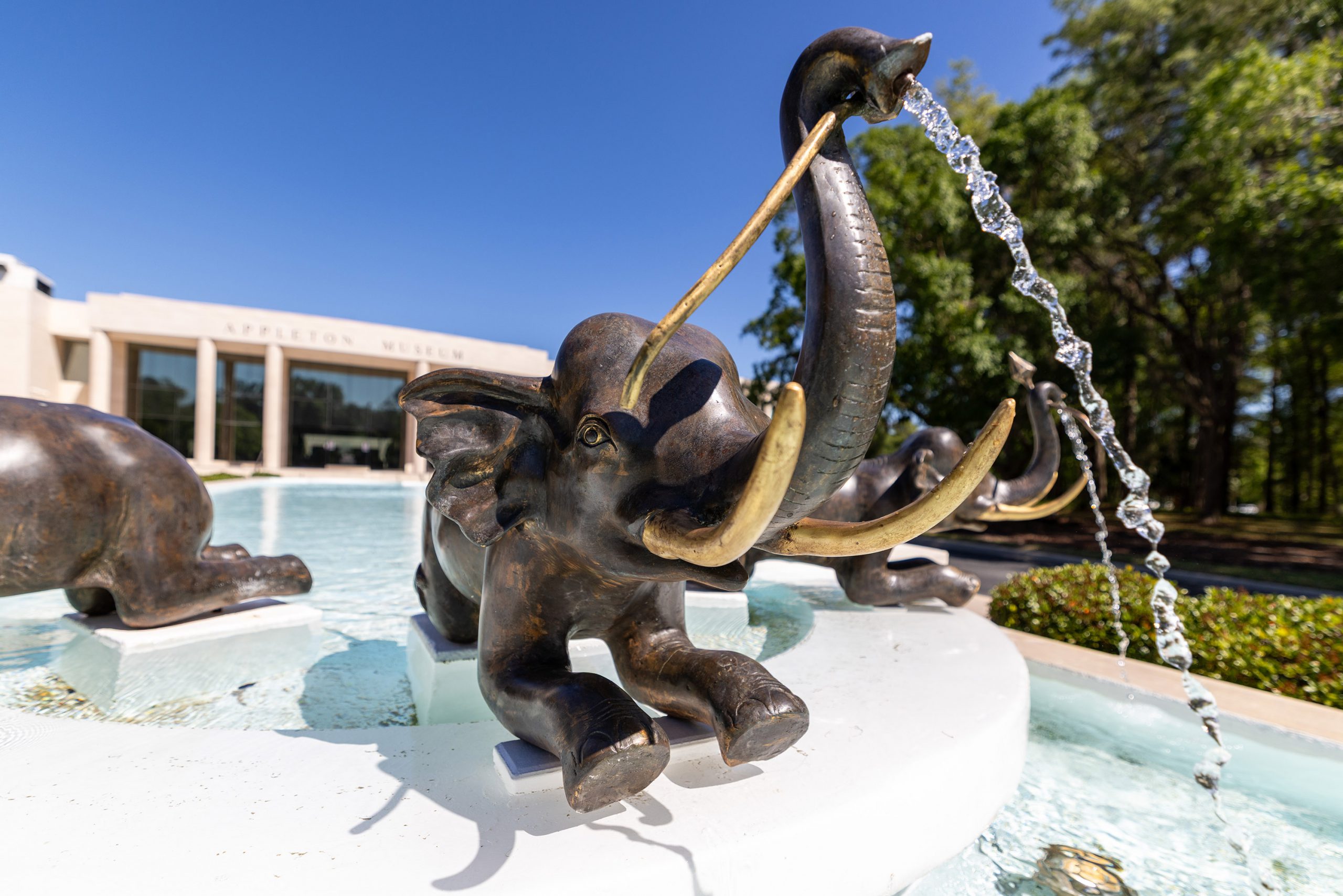 Ways To Give Appleton Museum Of Art College Of Central Florida